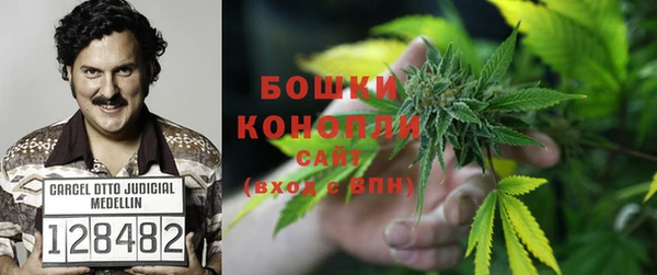 твердый Гусев