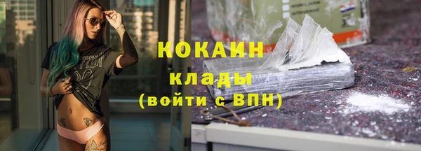 твердый Гусев