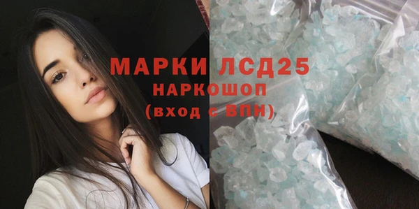 твердый Гусев