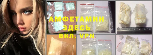 твердый Гусев