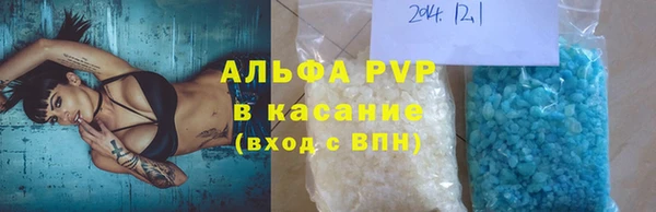 твердый Гусев