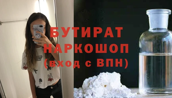 твердый Гусев