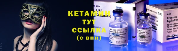 твердый Гусев