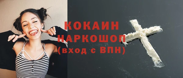 твердый Гусев