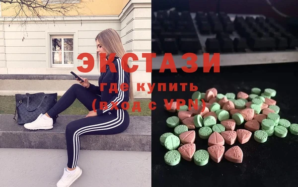 твердый Гусев