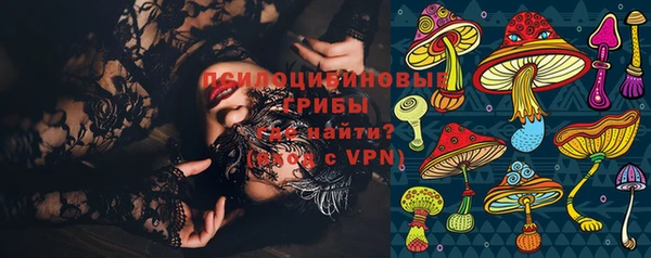 apvp Гусь-Хрустальный
