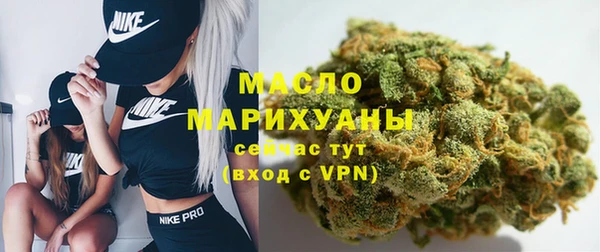 твердый Гусев