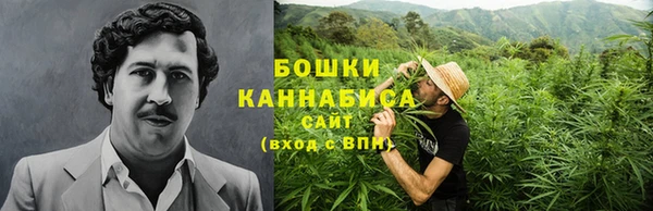 apvp Гусь-Хрустальный