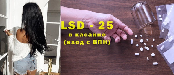 твердый Гусев