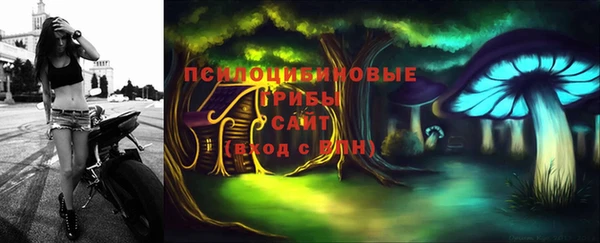 твердый Гусев