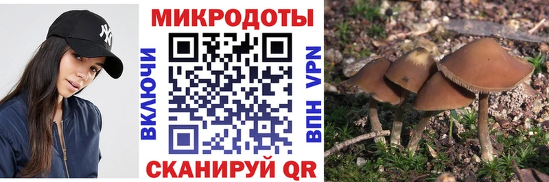 Псилоцибиновые грибы ЛСД  Купить где  Лукоянов 